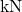 \text{kN}